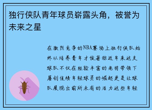 独行侠队青年球员崭露头角，被誉为未来之星