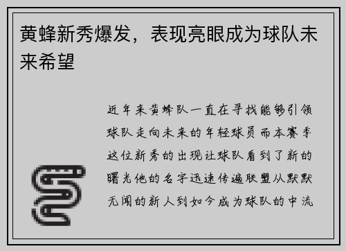 黄蜂新秀爆发，表现亮眼成为球队未来希望